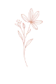 Illustration minimaliste d'une fleur séchée en line art utilisée comme élément décoratif sur la page À propos de Les Créations de Maïwen.